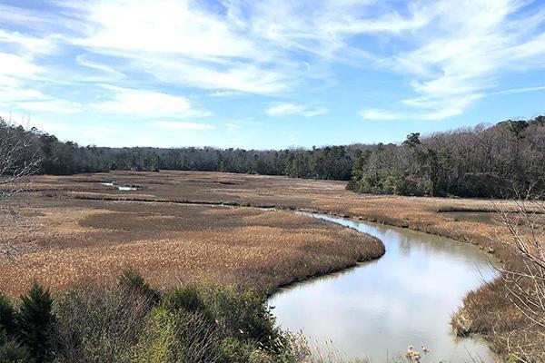 Coastal watershed dominated by the salt marsh creek-estuarine system of Taskinas Creek