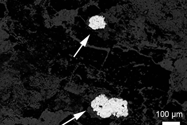  two smaller silver accumulations in a coprolite, or fossilized feces.