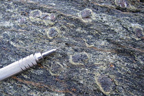 Minerals are visible in rock samples from the coast of Oman