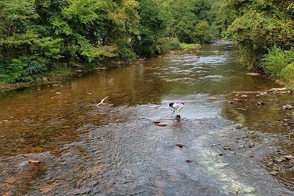 water sampling