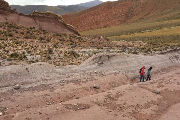 Researchers Joep van Dijk (left) and Alvaro Fernandez look for siderite minerals in the soils